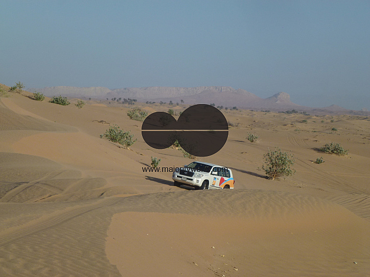 Holiday in Dubai
