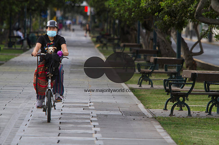 Capture the Coronavirus (COVID-19)