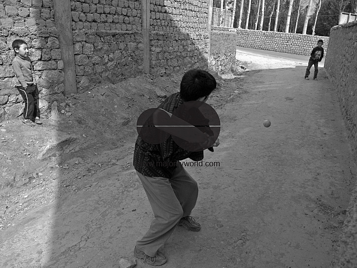 Cricket in Ladakh