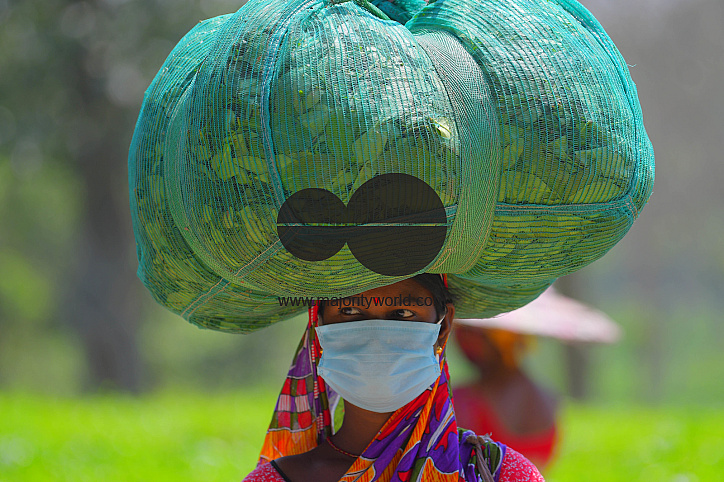Tea garden workers during lockdown