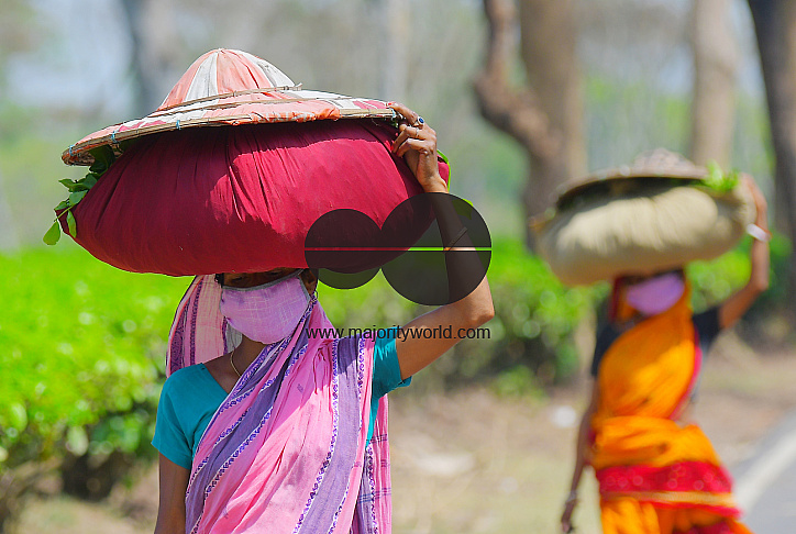 Tea garden workers during lockdown