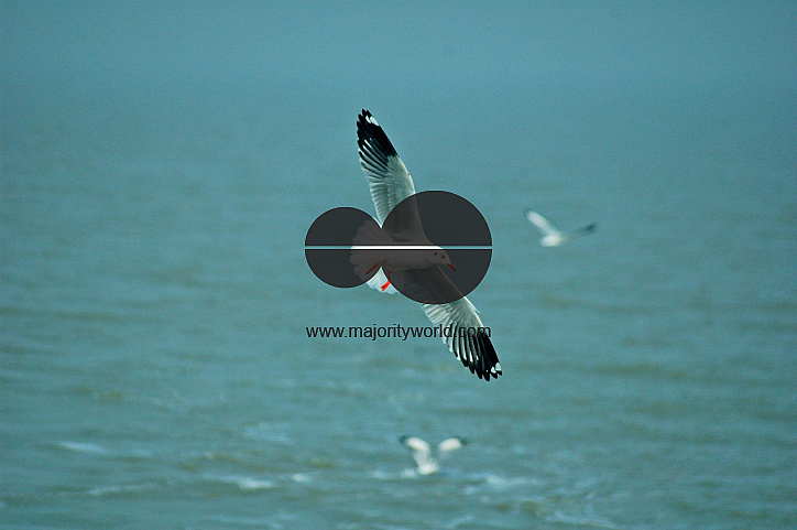 Sundarbans, Khulna, Bangladesh
