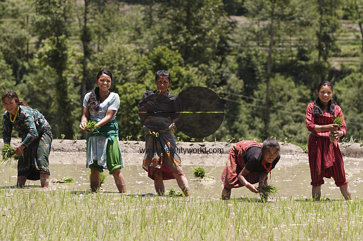 Nepal