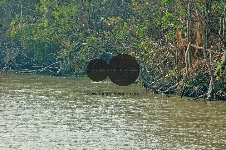 Sundarbans, Khulna, Bangladesh
