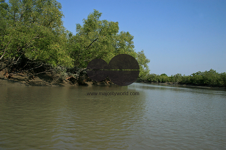 Sundarban: world's largest mangrove forest