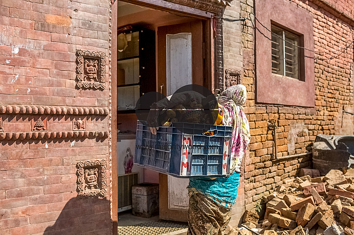  Kathmandu Cultural Heritage Sites Damaged in Earthquake