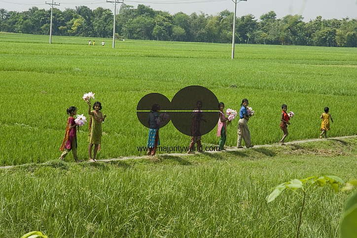Village_Bangladesh