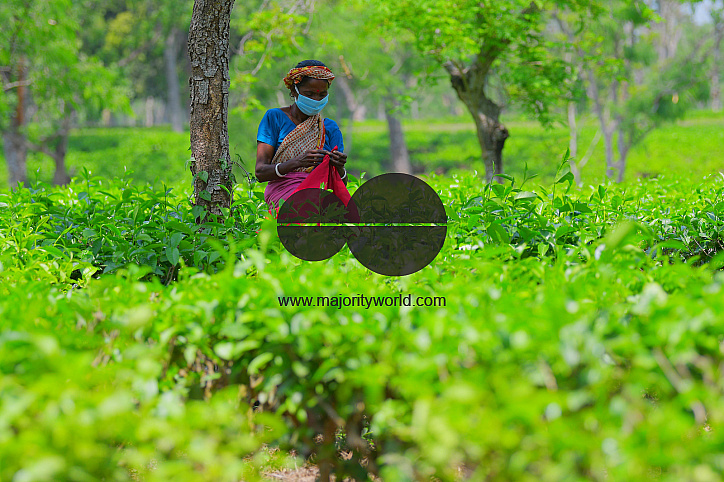 Tea garden workers during lockdown