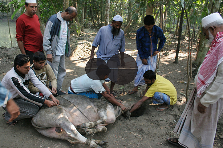 Eid_Festival_Bangladesh