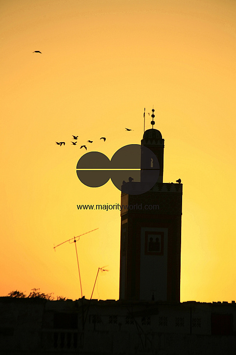 A flock of birds over a mosque at sunrise, in Fez, Morocco. October 3, 2006.