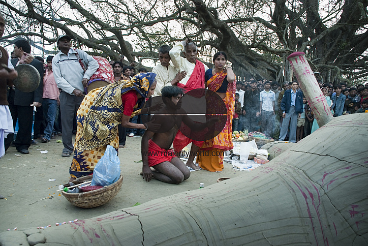 Perspective Exhibition