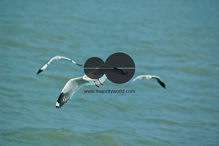 Sundarbans, Khulna, Bangladesh