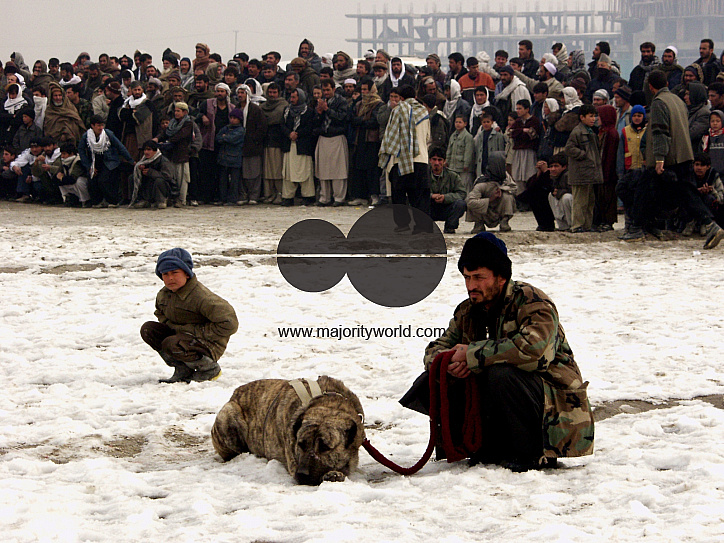 New Afghanistan