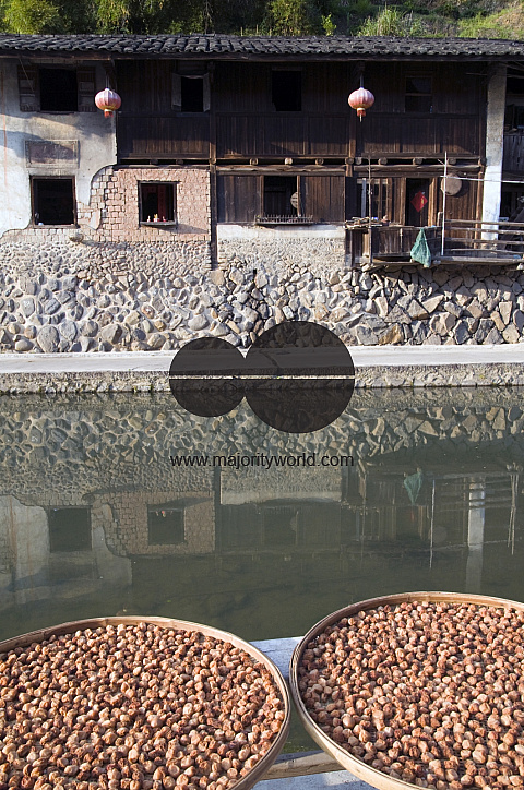 CHINA Fruits drying in the sun in a village  in Fujian province.
