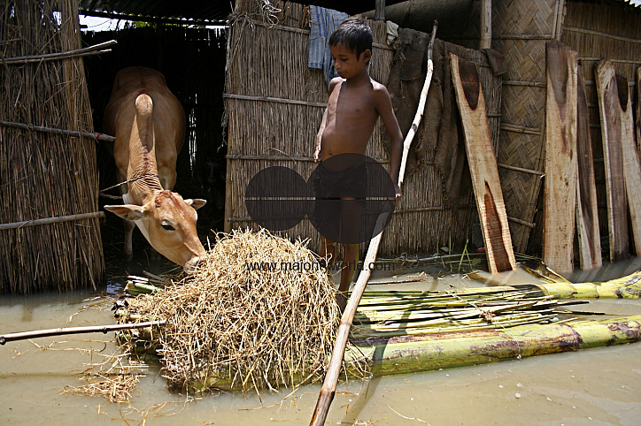 Flood approaches Munshigonj