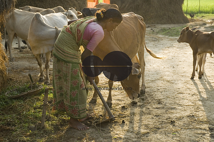 Village_Bangladesh