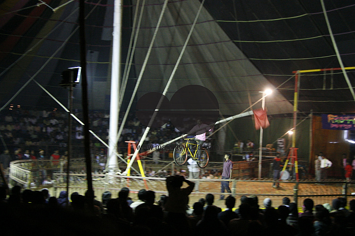 Circus