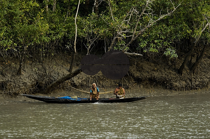 Shrimp  fry_Bangladesh