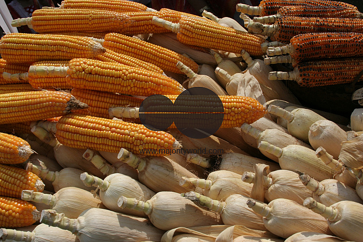 Vegetable