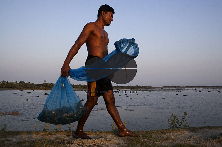 Palanquin_Bangladesh