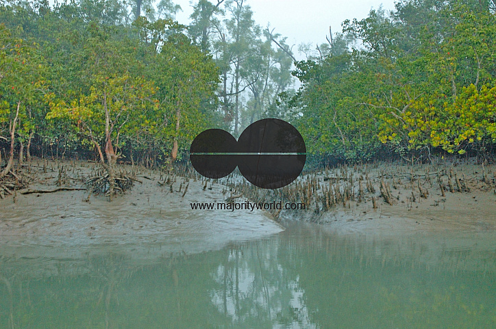 Sundarbans, Khulna, Bangladesh