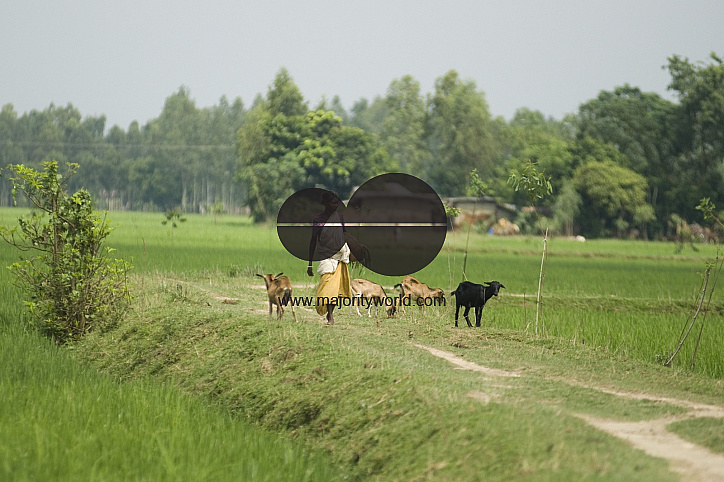 Village_Bangladesh