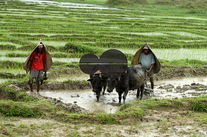 People of Nepal