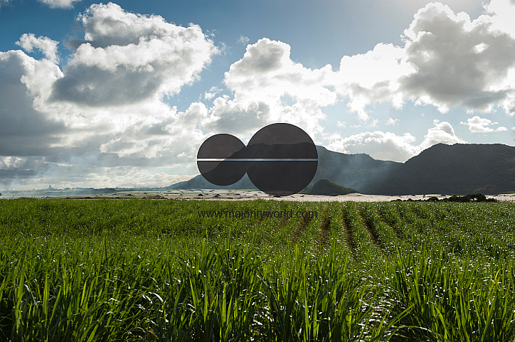 Mauritius. Sugarcane fields in the evening with smoke drifting across the landscape.