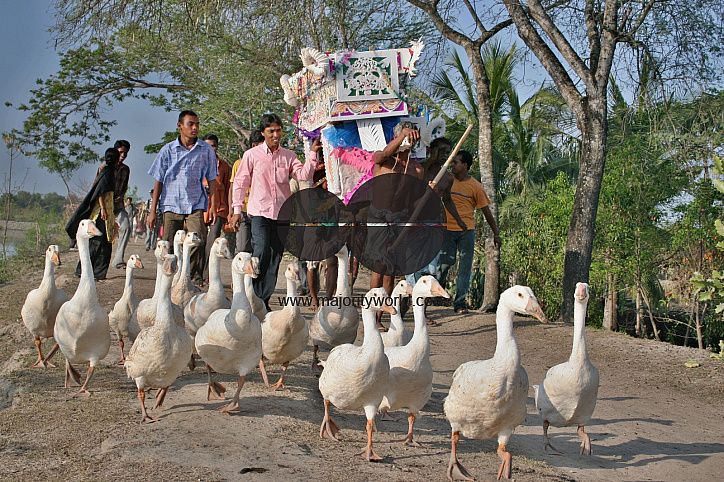 Palanquin_Bangladesh