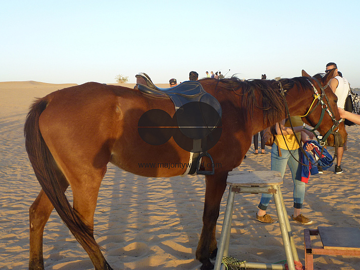 Holiday in Dubai