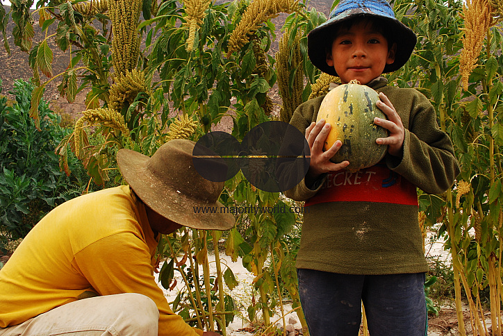 Francisco proudly shows the results of his work. He wasn't at school because of the workers day. Juella, Quebrada de Humahuaca, Jujuy, Argentina. May 1 2010.