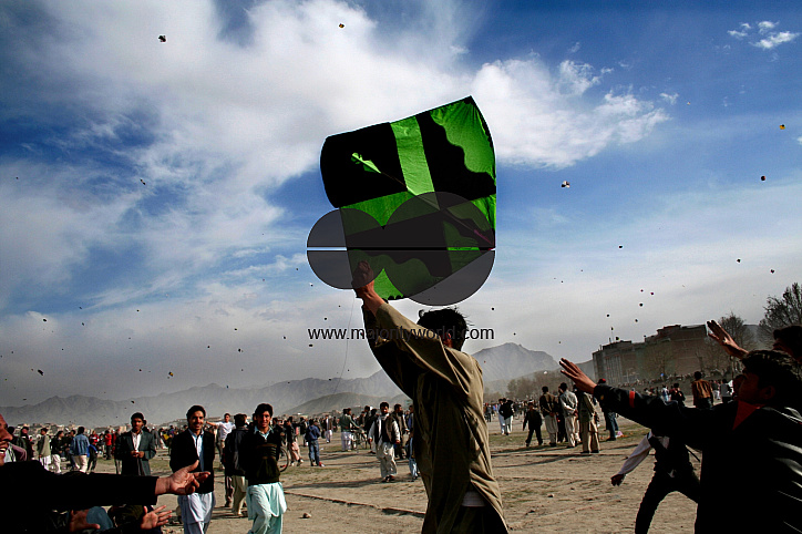 Kite Festival