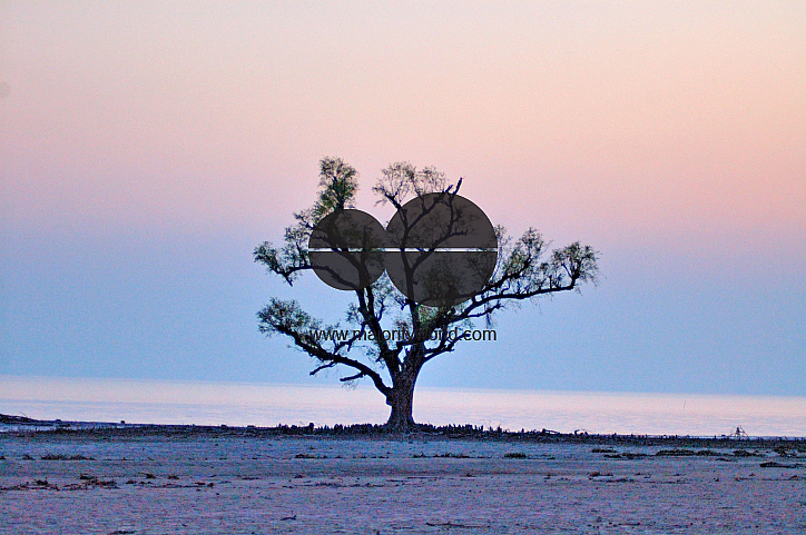 Sundarbans, Khulna, Bangladesh