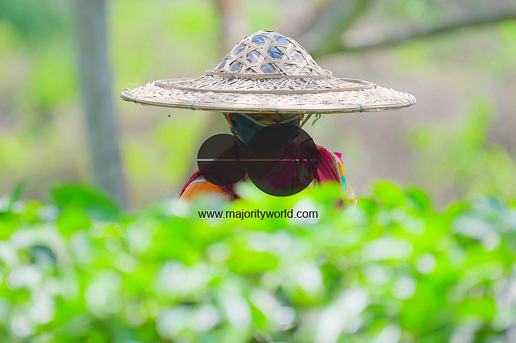 Tea garden workers during lockdown