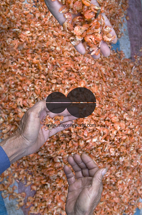 CHINA Merchants packing dry shrimps, a local delicacy, in the old quarter in Guangzhou, Guangdong province..