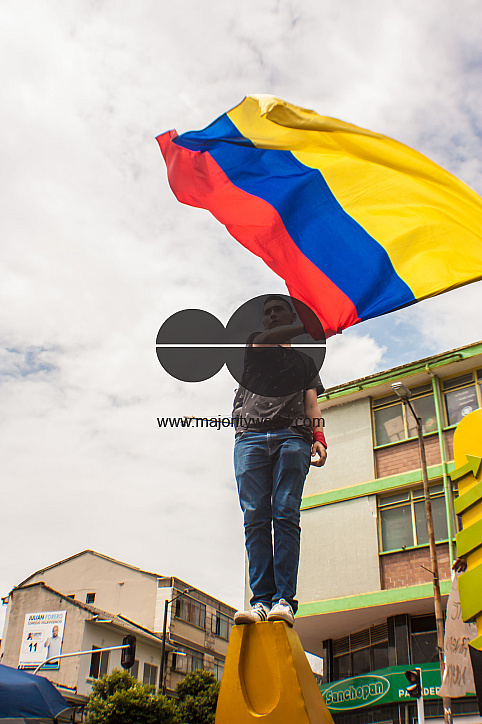 Waving Flag