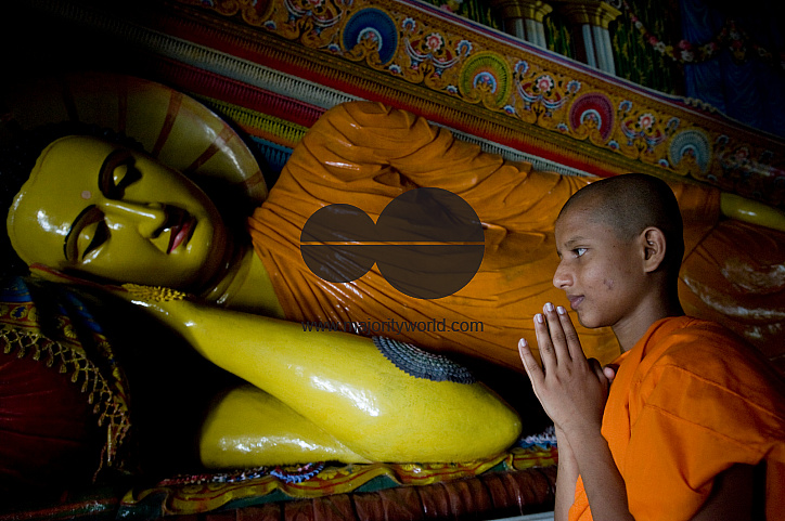 Sri Lanka. Mr. Maurice Perera, Fisherman. Negombo.