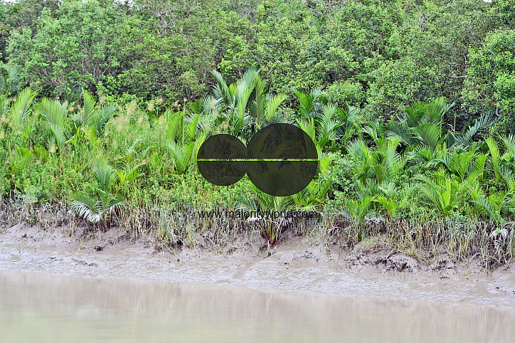 Sundarbans, Khulna