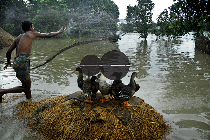 Huge damage at Sirajgonj because of flood