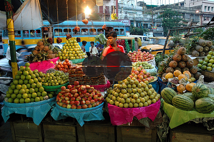 Food crisis ravages Indias poorest children.