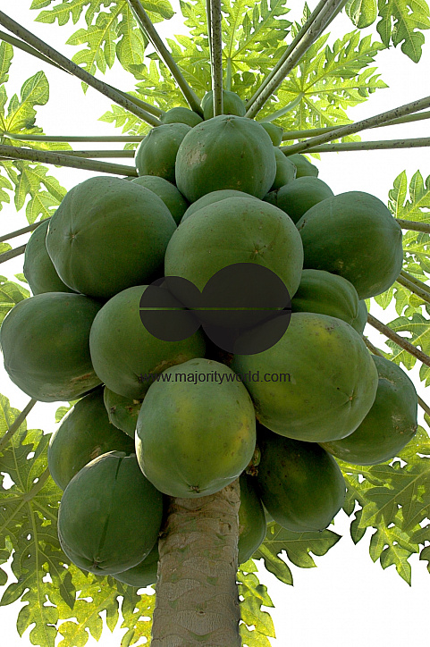Bangladesh