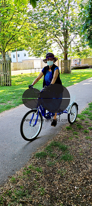 Capture the Coronavirus (COVID-19)