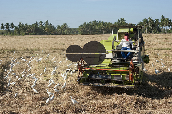 Sri Lanka.  Mechanical rice harvesting near Hambantota.