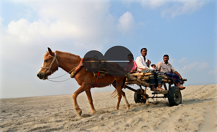 Unusual mode of transportation