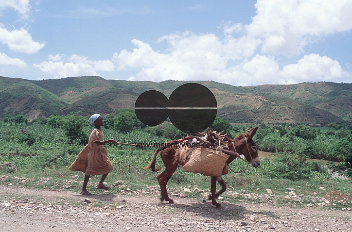 Beautiful countryside landscape with woman and donkey collecting wood.