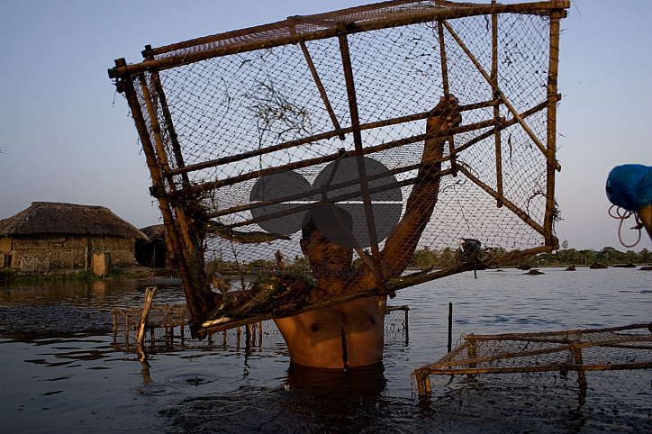 Palanquin_Bangladesh