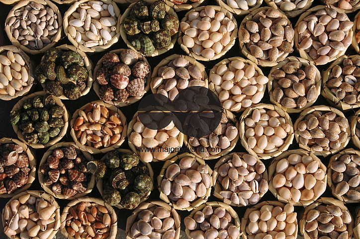 India. Home in Thittacheri town. South India.