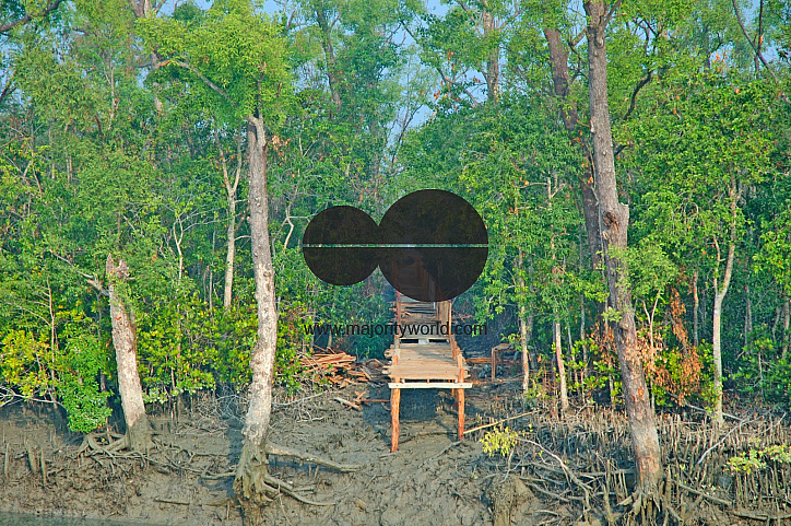 Sundarbans, Khulna, Bangladesh