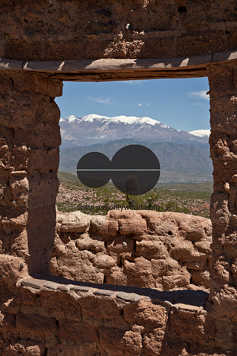 Las Cardonas valley of cactus National Park with Nevado Cachi snowcapped mountain range in Andes region, Salta, Argentina