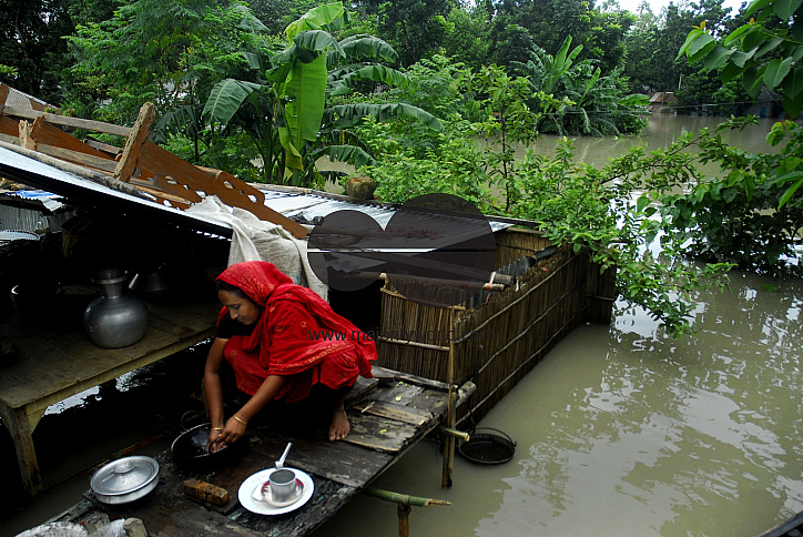 Huge damage at Sirajgonj because of flood